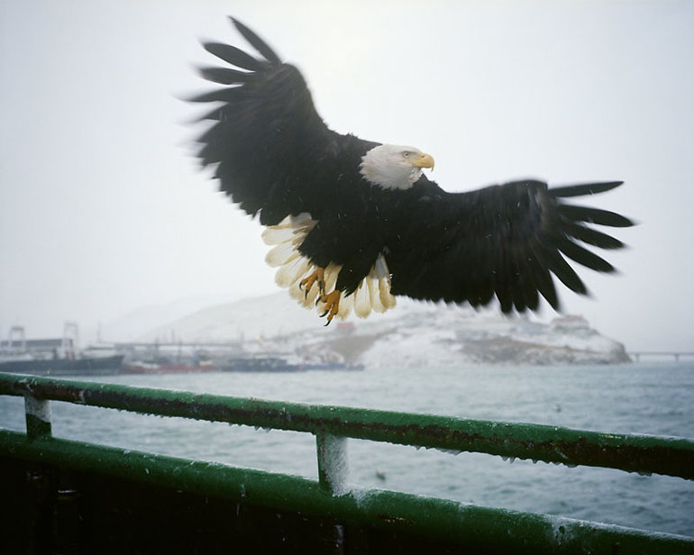 Fiskearbeid Bering Sea