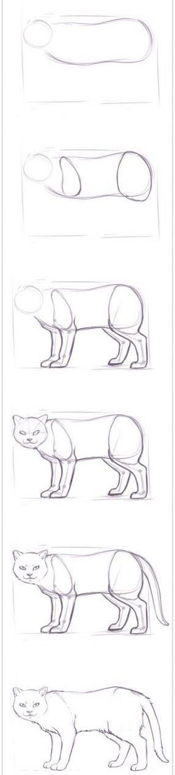 Hvordan tegne en katt?